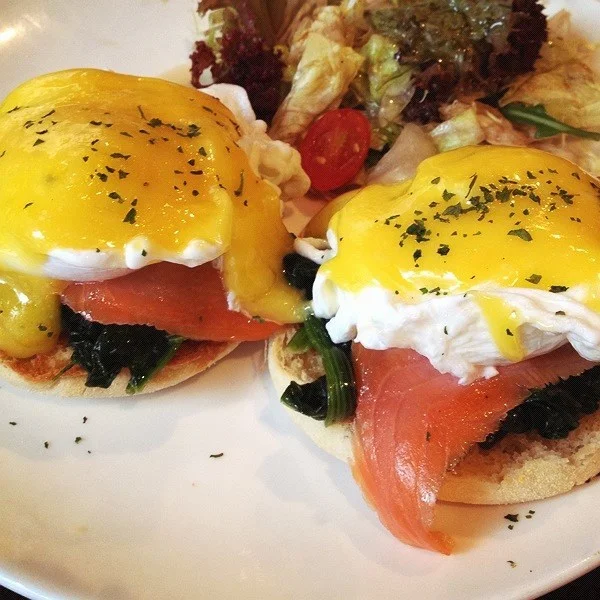 salmon egg benedict