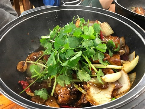 麻痺雞的相片 - 大埔