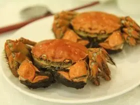 大閘蟹外吃自煮全攻略