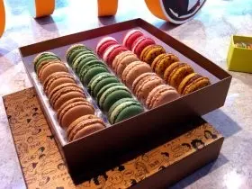 女人的浪漫  7大Macaron名店