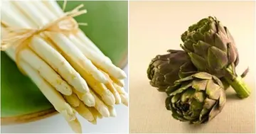 Spring Produces at Its Best: White Asparagus VS Artichoke