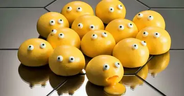 【新店直击】得闲去饮茶饮茶