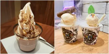 Trending Summer-time Ice Cream and Desserts