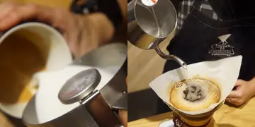 Starbucks灣仔三層高新店 上堂學拉花沖咖啡（有片）