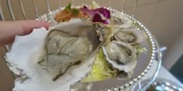 百零蚊就食到！法国生蚝咸点下午茶