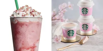 香港星巴克春日花見系列  新口味星冰樂+布甸即將登場