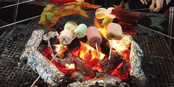 大埔5大BBQ 场全比较