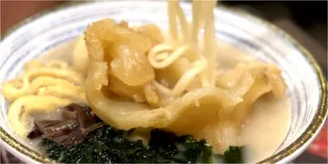 4大鱼汤面食推介 日式鲷鱼汤乌冬、真材实料鱼汤米线