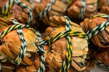 【识食攻略】秋天聚会之选!大闸蟹任食放题!