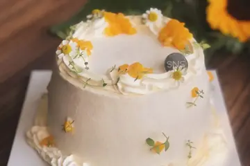 【識食攻略】靚到唔捨得食!必試精緻戚風蛋糕