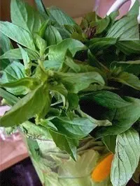 傳統配料