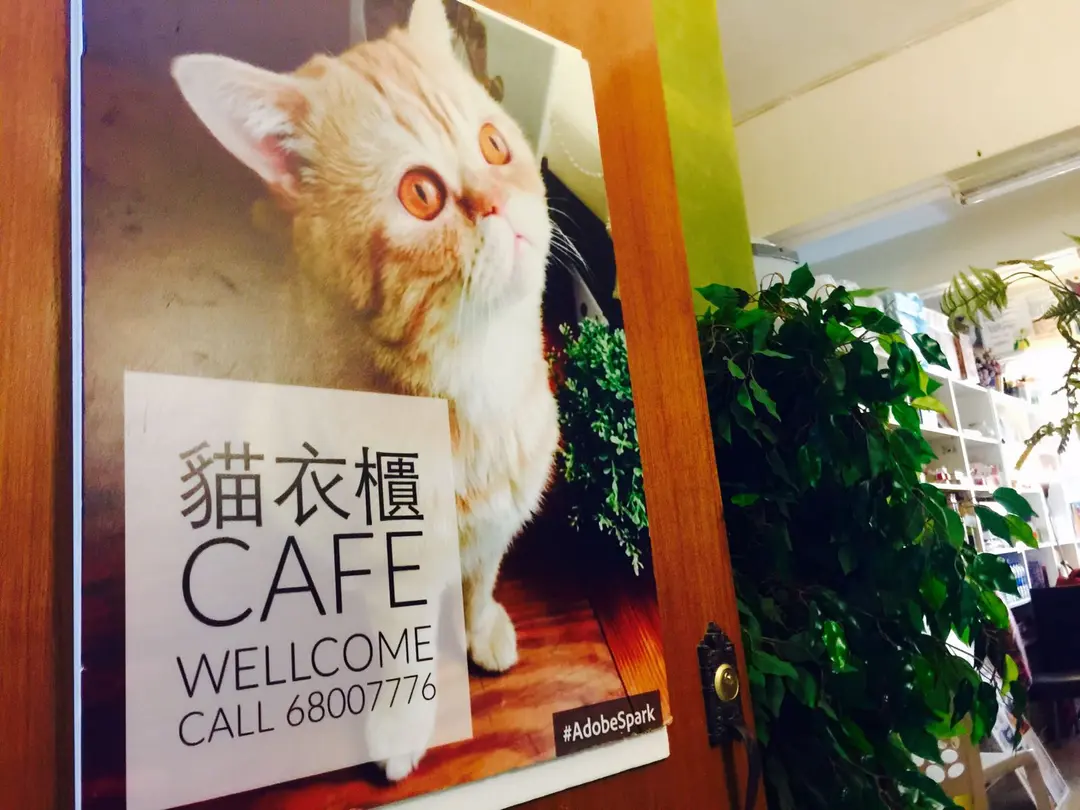 貓衣櫃