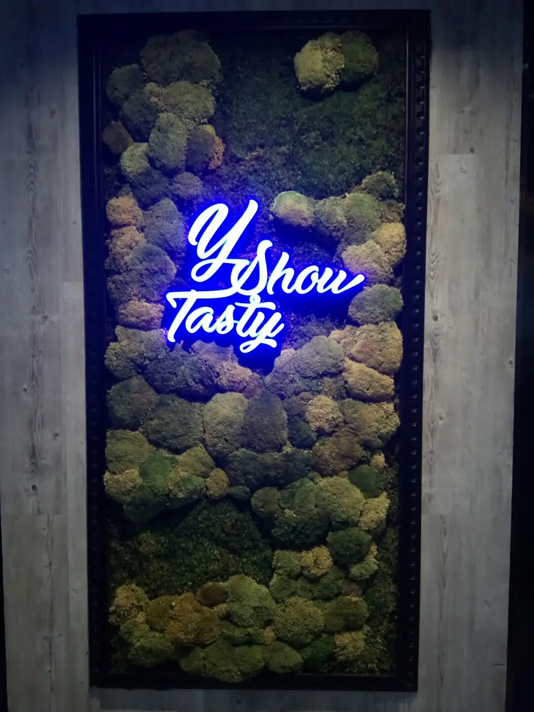 Y Show Tasty