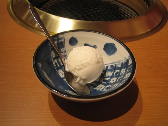 燒牛肉的最佳拍擋鹽味雪糕