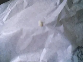 異物！