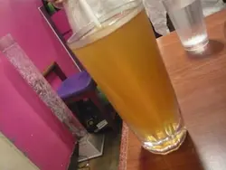 自家清熱銀菊露