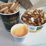 Fries+Cheesesauce (R)Poutine