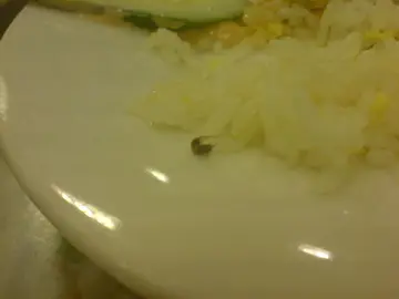 差 - 小小強同你食飯 (呢張係CLOSE UP)