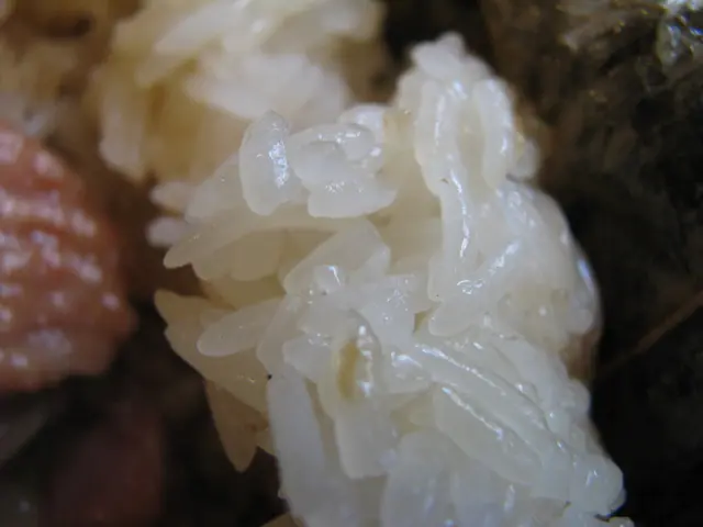 懷舊糯米雞內的粒粒糯米(很喜歡糯米能保持粒狀)