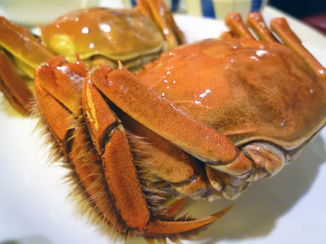 清蒸大閘蟹