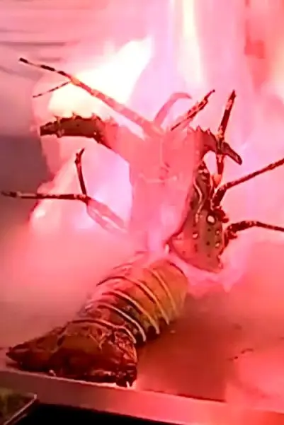 燒死羅~不過好香羅haha