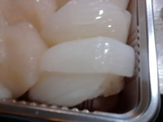 墨魚壽司係有D件係面有D2件係面,2件個D墨魚就細少少囉,但抵食喎