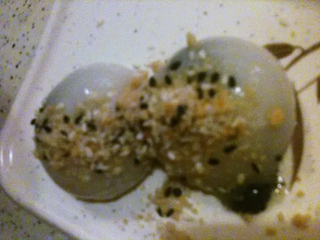 免費甜品:芝麻湯圓