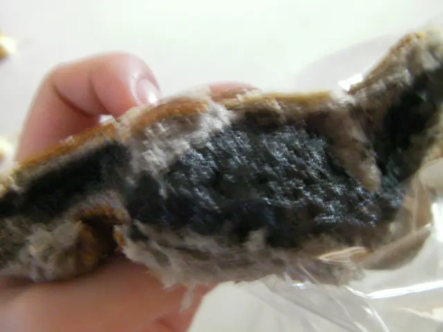  流心芝麻包(入面)