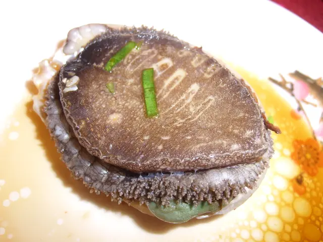 果皮蒸南非鮑魚