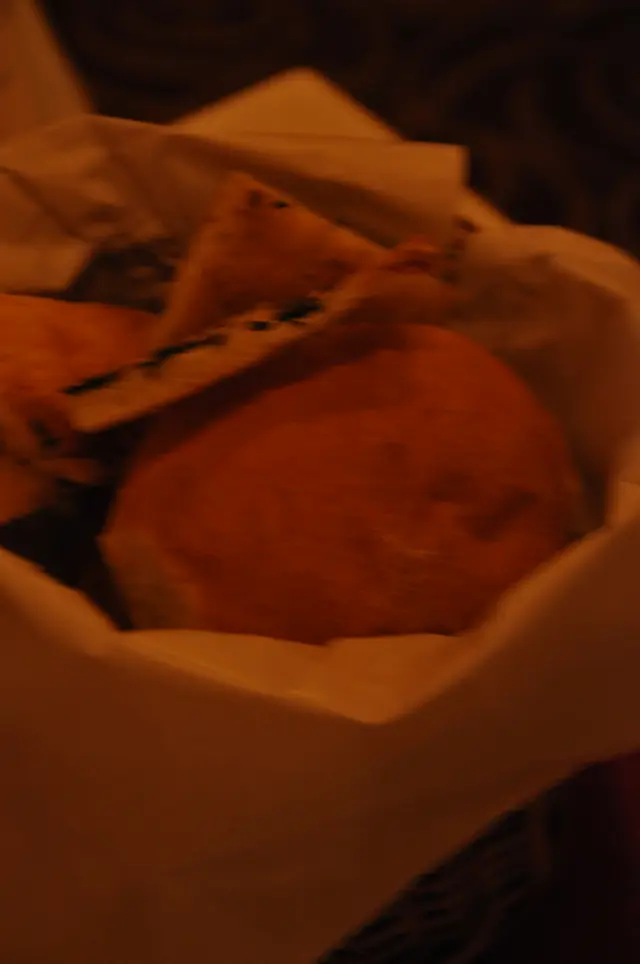 大大舊果個包,個皮超脆^^