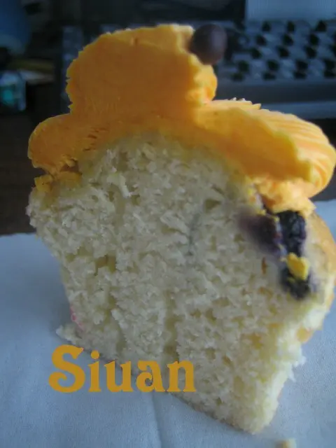 呃人的所謂藍莓muffin!