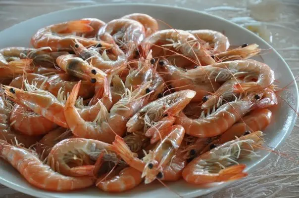 海蝦