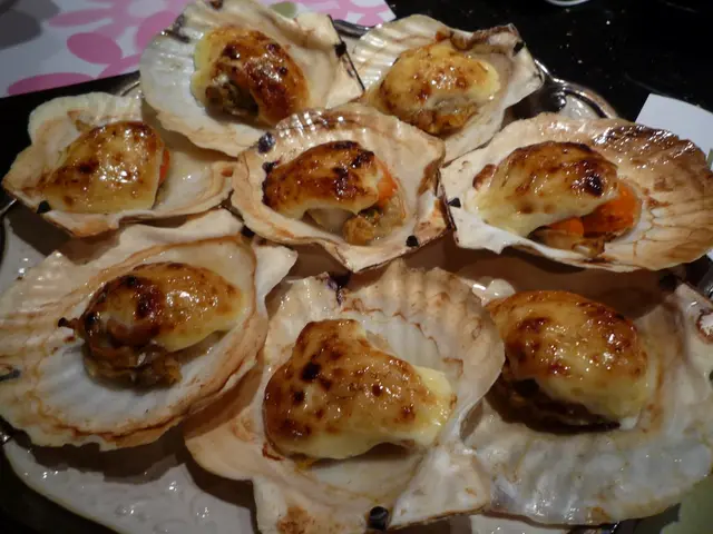 每人奉送黃金燒貝子