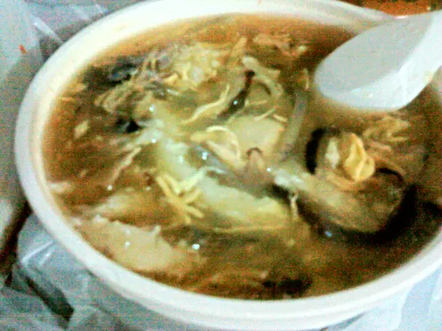 魚肉碗仔翅~足料