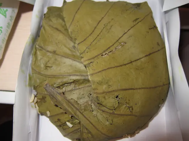 好大個荷葉飯>v<