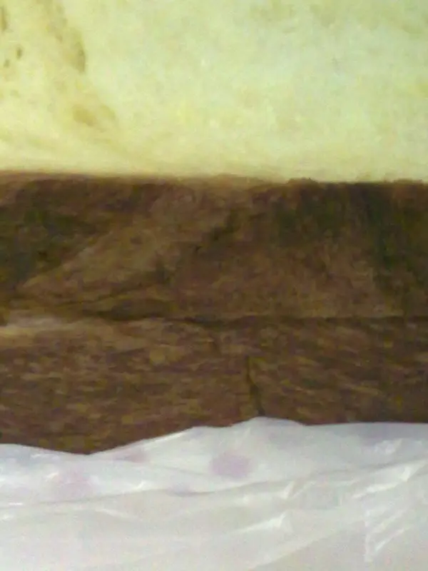 丹麥方包$19/2片