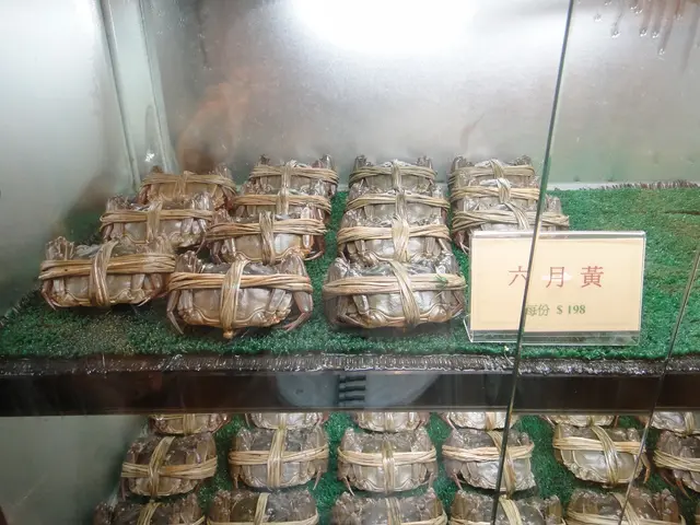 六月黃