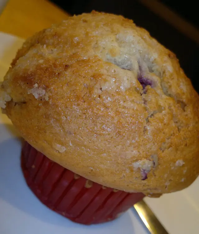 Blueberry Muffin