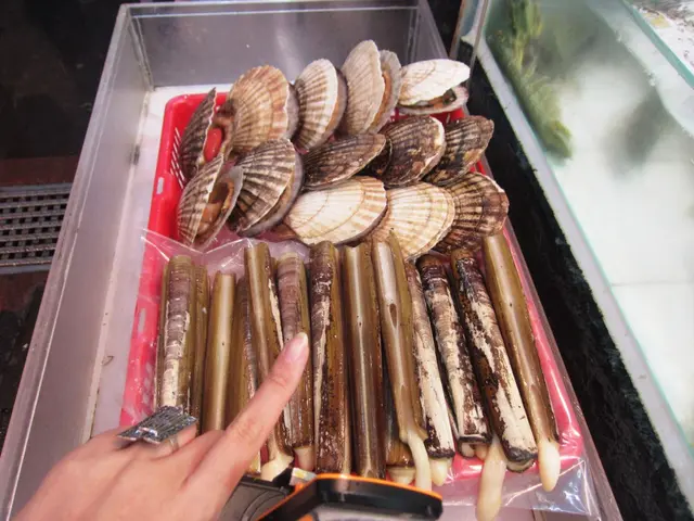 看,真的很長呢!