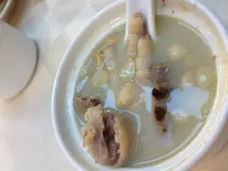 杏汁豬肺湯