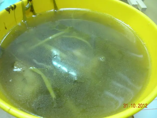 例湯
