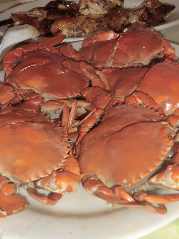 充滿肉和膏的沛蒸膏正