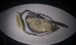 厚岩蚝