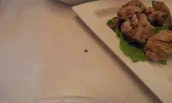 肉噪入面发现