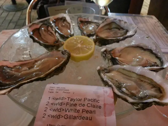 oyster round 1