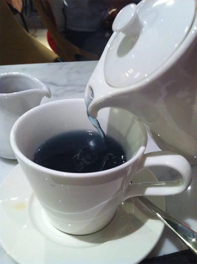 greyhound cafe 抵飲之選 butterfly pea & stevia tea