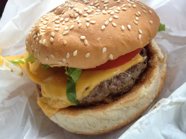 BBQ Cheddar Cheese Burger