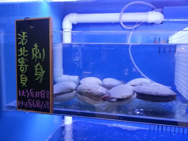 活北寄背刺身(大)