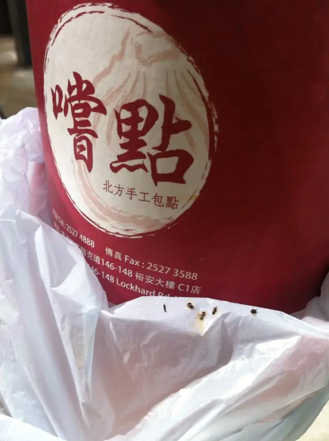 撞鬼,打撈到4條蟻屍