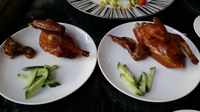 招牌王子鴿 (一隻)